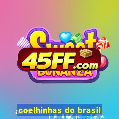 coelhinhas do brasil